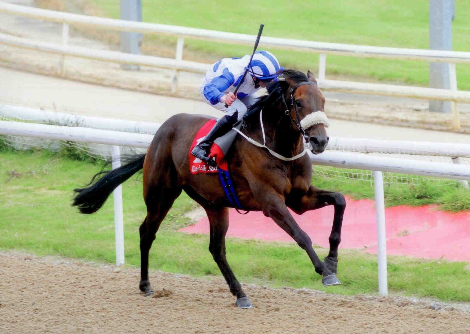 INTISARI surges away from the competition at Dundalk on August 16th 2015
